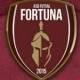 Futsal Fortuna
